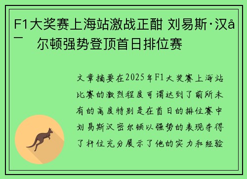 F1大奖赛上海站激战正酣 刘易斯·汉密尔顿强势登顶首日排位赛
